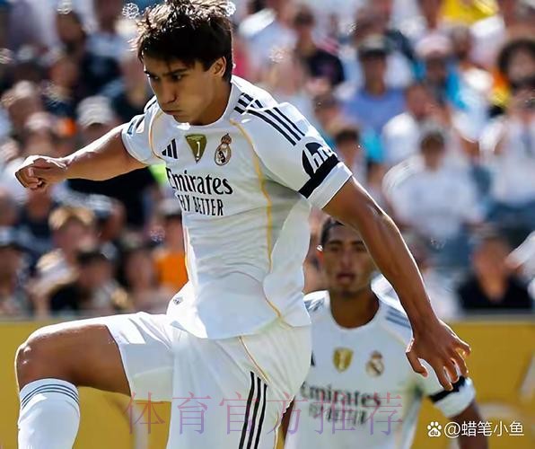 皇马正努力签下法兰克福17岁中锋恩里克-埃雷罗 皇马正努力签下法兰克福17岁中锋恩里克-埃雷罗